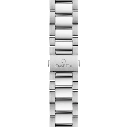 Seamaster Aqua Terra 41 mm Black Dial