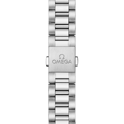Seamaster Aqua Terra 41 mm