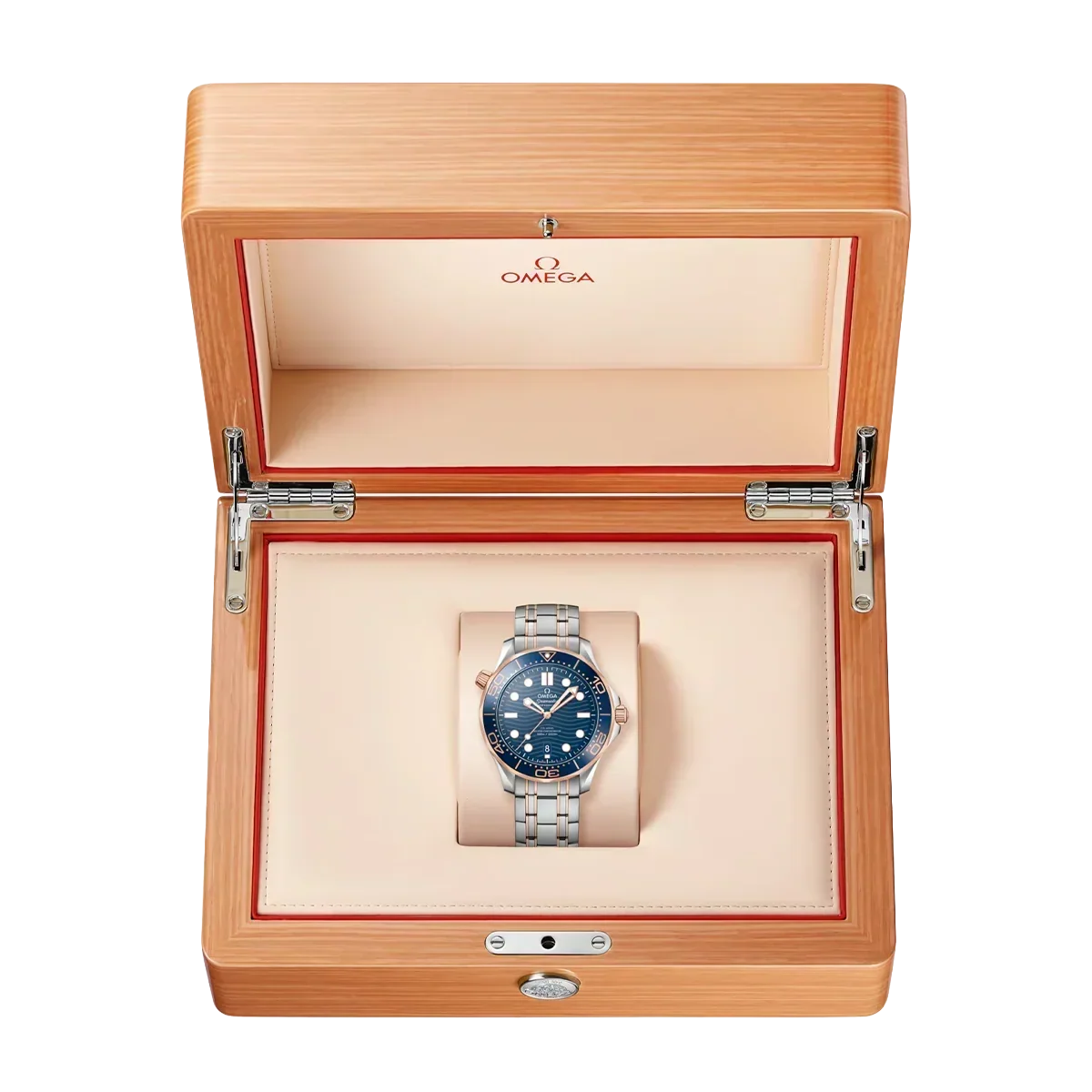 Seamaster Automatic Dial 210.20.42