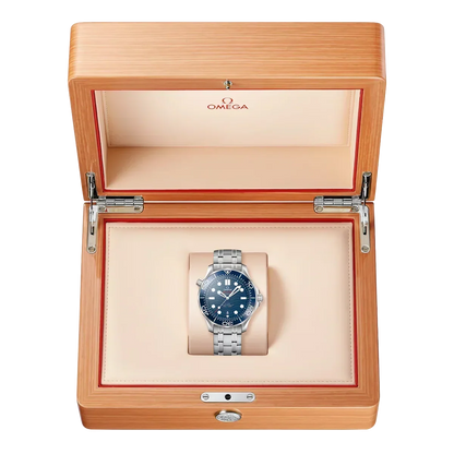 Seamaster Diver 300M 42 mm