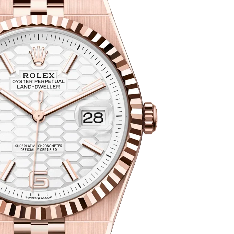 Land-Dweller 40mm Oyster Everose gold M127335-0001